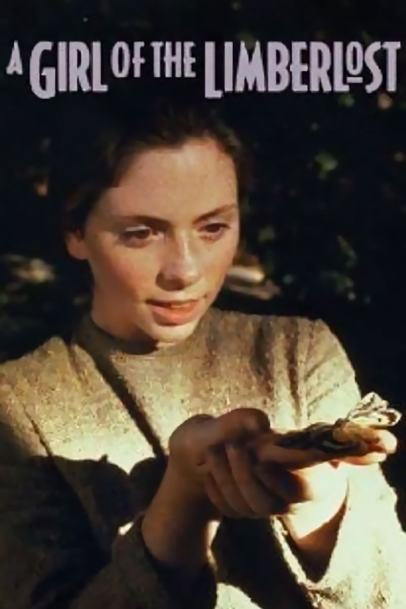 Постер A Girl of the Limberlost